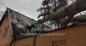 В Светлогорске рухнувшее на дом дерево привело к суду: прокуратура требует 1,2 миллиона