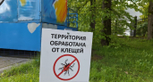 В Калининграде стартовал сезон борьбы с клещами — под удар попали все парки