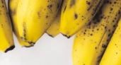 Можно ли есть бананы с коричневыми точками: врачи дали неожиданный ответ