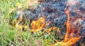 В Калининградской области за поджёг травы грозит до года тюрьмы — подробнее о новом законе