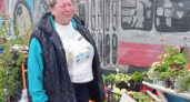 Довели до слёз продавца: полицейские снова снесли нелегальную овощную палатку, помогавшую бездомным животным в Калининграде — видео