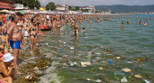 «Цены как в Москве, море как болото»: туристы жёстко высказались о курортах Чёрного моря перед летом-2026