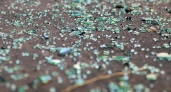Вместо колонии отправят в психбольницу: калининградку, убившую мужчину осколком стекла, признали невменяемой