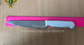 Суд обязал отца выплатить 300 тысяч рублей 14-летнему сыну, которого ударил ножом, подробности дела