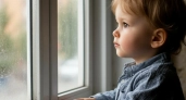 «Мамочка, мне больно»: 5-летнему Павлику, выпавшему из окна в Калининграде, срочно нужна питерская клиника 