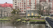 2 дня, 5 городов и ощущение Европы: готовый маршрут по Калининградской области, который меняет представление о регионе