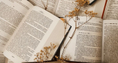 «Книжный остров» пройдёт в Калининграде: программа фестиваля с писателями, кино и концертами с 3 по 5 июля