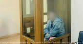 Блогеру из Москвы, который едва не утопил детей на Преголе, избрали меру пресечения