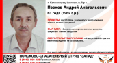 Может находиться где угодно: калининградцев просят помочь в поисках 63-летнего Андрея Пескова