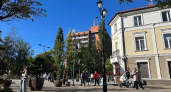 Увидели собаку на пляже или мусор? В Зеленоградске объяснили, куда сообщать о нарушениях правил