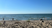 Море прогрелось до +20 °C, но купаться можно не везде: что происходит на пляжах под Калининградом