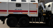 Шторм прошёлся по области: 148 поваленных деревьев, семь повреждённых машин и пострадавший мужчина