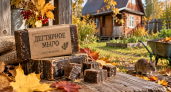 С первыми холодами беру 2 бруска дегтярного мыла и тащу на дачу: совет дед из деревни — в доме спокойно до весны