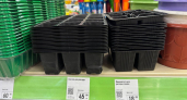 Не ждите весны: кассеты для рассады из Fix Price по 45 рублей осенью нужнее, чем кажется — вот куда их приспособить