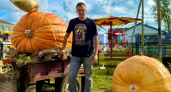 Тыква-гигант в 387 кг: калининградец применил кондиционер и лебёдки ради рекордного урожая