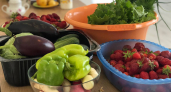 Мясо своё, овощи привозные: почему Калининградская область в ближайшие пять лет сохранит ввоз продуктов
