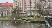 В Калининграде проведут виртуальную прогулку «Город на холмах»