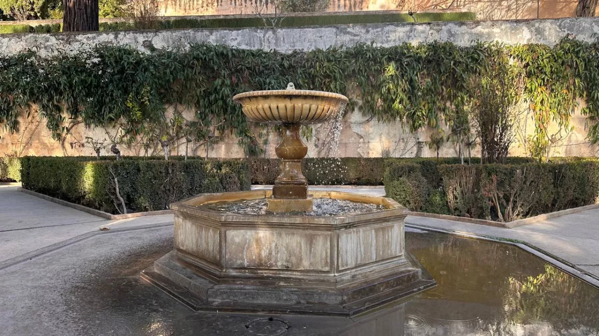 В Черняховске за 200 миллионов рублей создадут «Пространство человека» с археологическим парком и садом пряных трав