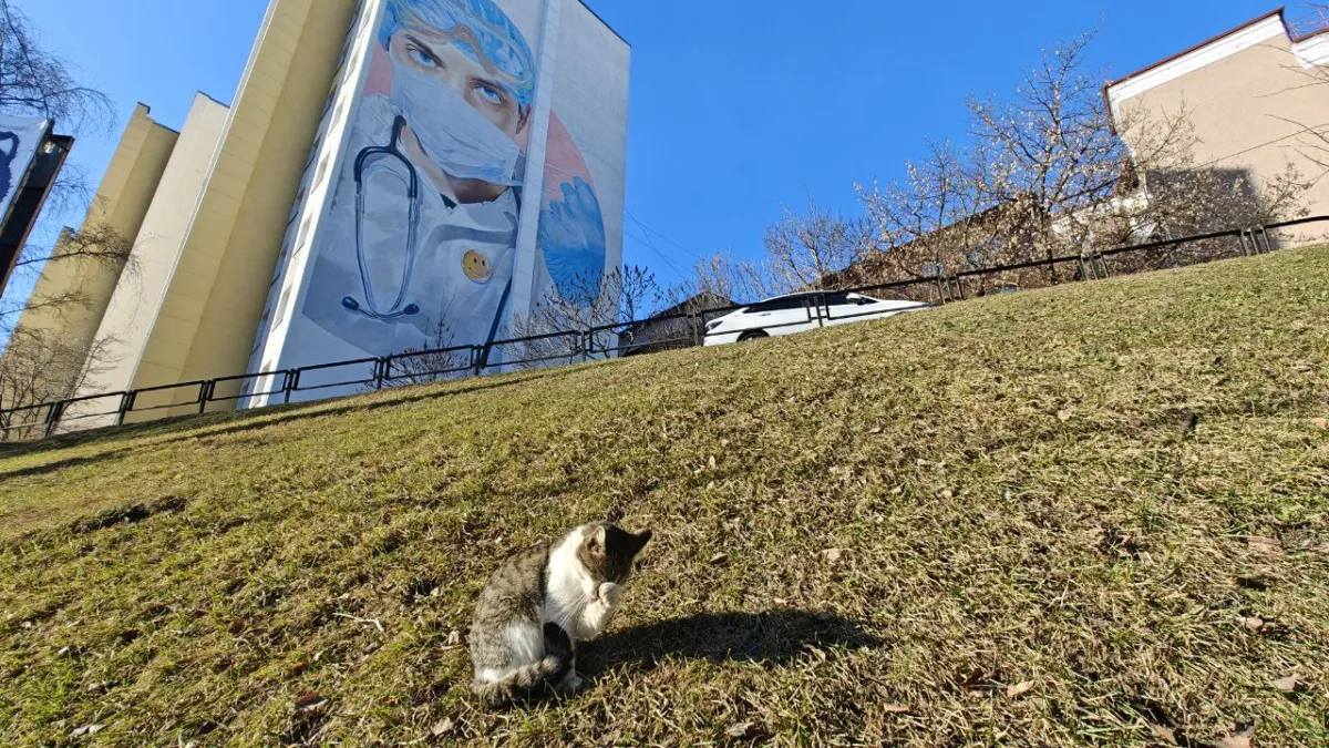 Калининградская область только что ворвалась в весну: завтра +13°С, в воскресенье +15°С, а к концу недели +18°С