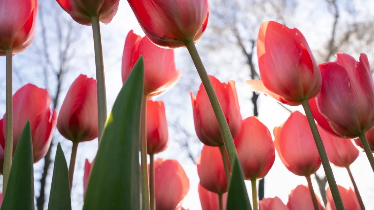 Не подметайте дом, не берите чужое полотенце: народные приметы и запреты на 7 марта