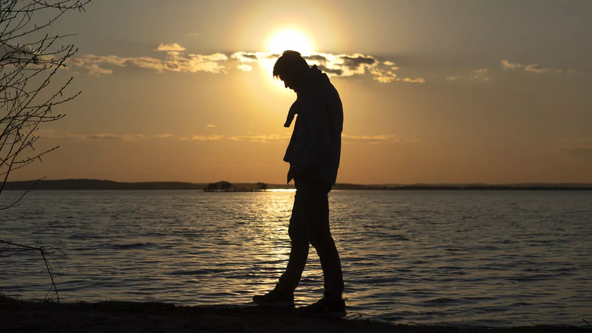 Каким по счёту родился, так и сложится жизнь: как очередность влияет на судьбу – психолог Адлер дал ответ