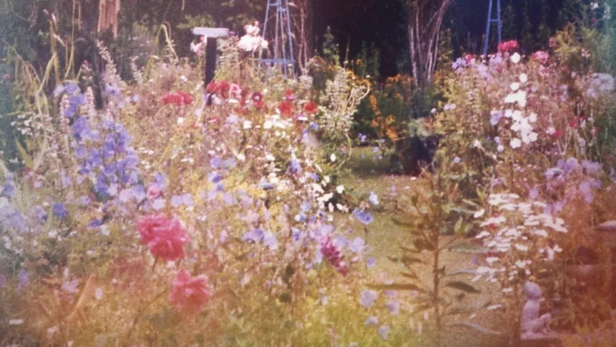 Посейте эти цветы в марте - летом соседи будут заглядывать через забор каждые 5 минут: секрет пышного цветника как с обложки журнала