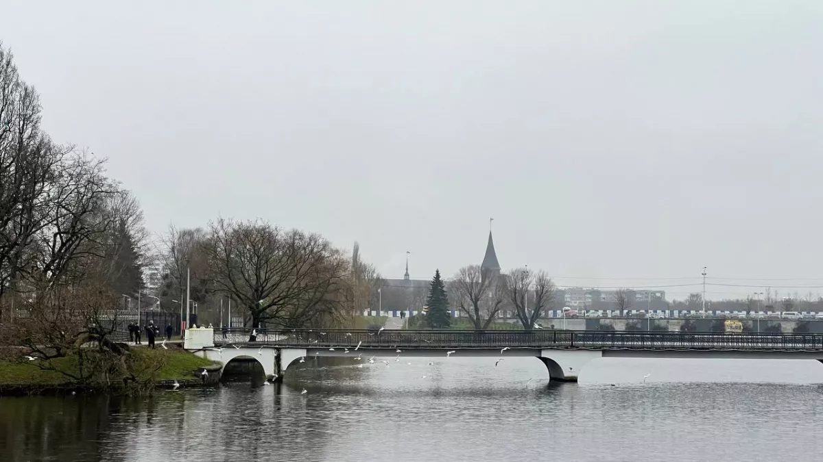 Туристы резко меняют планы на отдых и выбирают Калининград вместо Сочи: в чем причина 