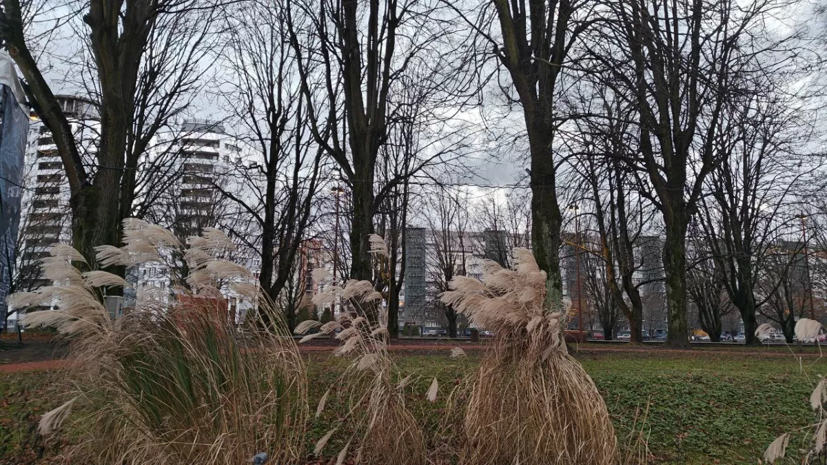 До +16 и без дождей: какая погода ждёт Калининградскую область в начале недели, прогноз на понедельник 