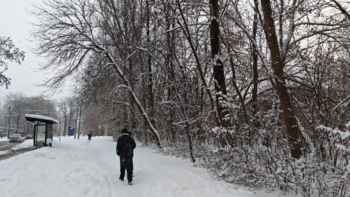 Вильфанд объявил о ледяном марте: зимняя погода продлится еще месяц и сорвет весеннее настроение
