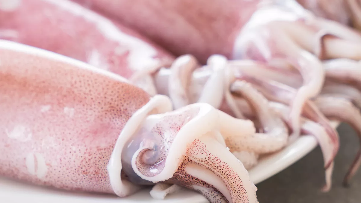 Кальмары больше не будут резиновыми как подошва : запомните одно правило 30 секунд (и еще много советов от поваров)