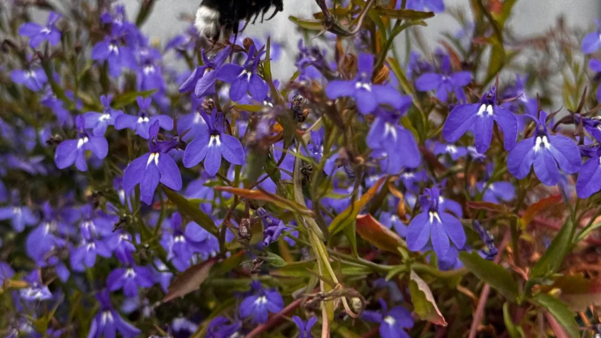 Весна решила удивить: жара до +17, африканская пыль и даже намек на первую грозу уже совсем рядом