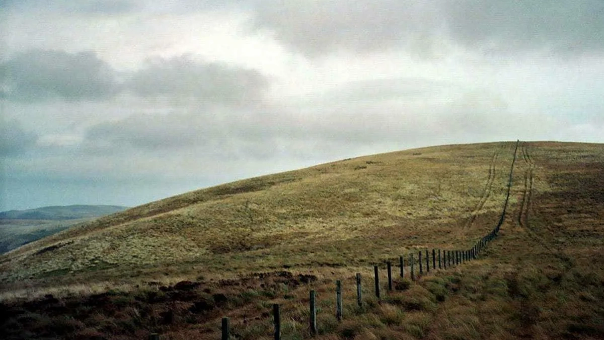 Прогулка у госграницы может обойтись в 2 млн рублей: в Калининградской области повысили штрафы за пересечение погранзоны