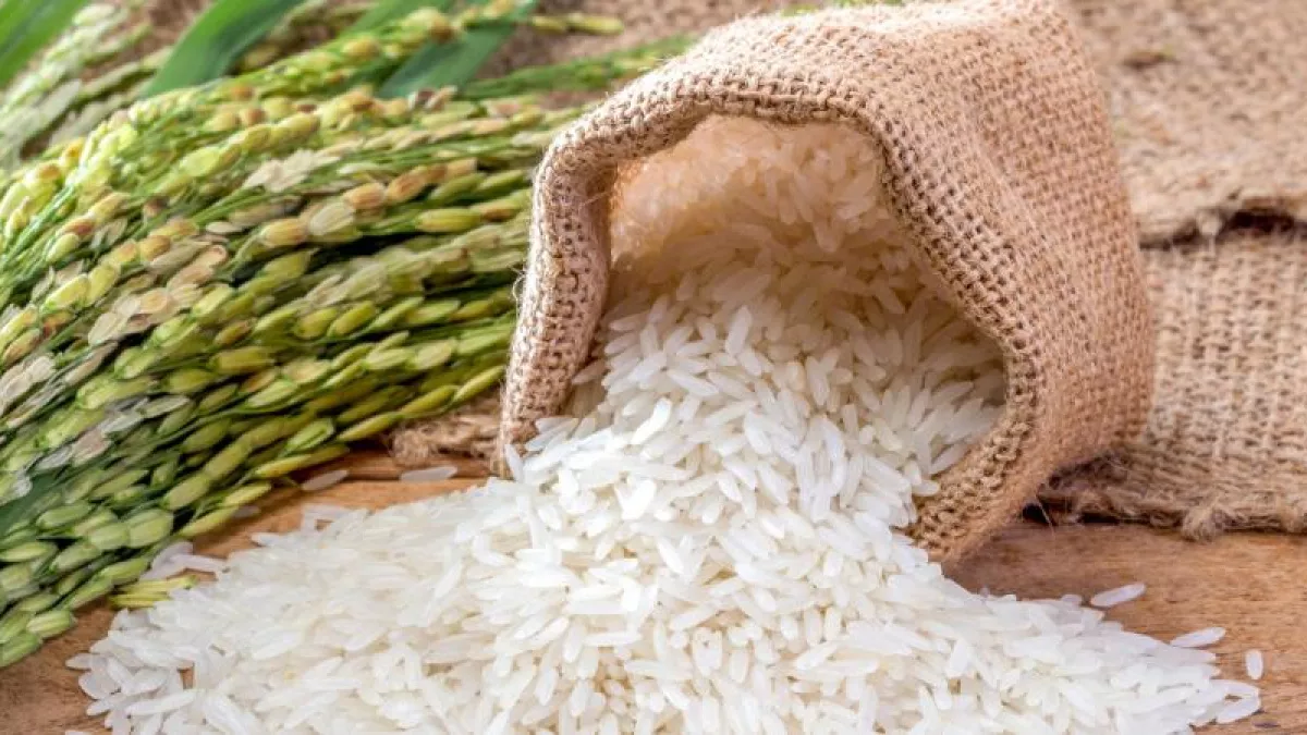 Сахар и зерно стали «золотыми»: почему доставка грузов через Литву в Калининград подорожала в 3 раза