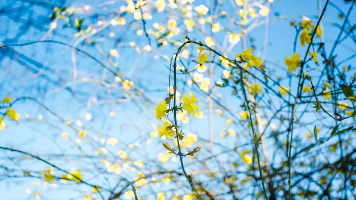 Праздничный марафон: когда калининградцев ждут короткие рабочие недели — календарь весенних выходных 