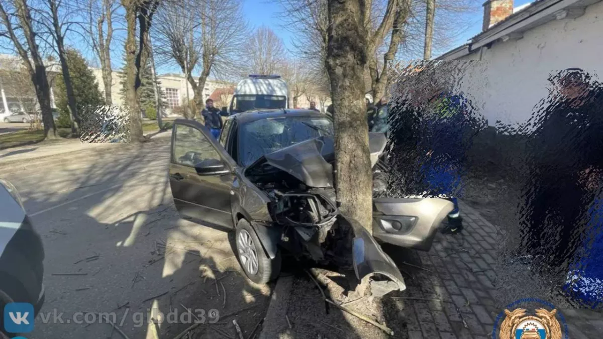 В Правдинске смертельное ДТП: водитель врезался в дерево и погиб на месте, трое пассажиров в больнице