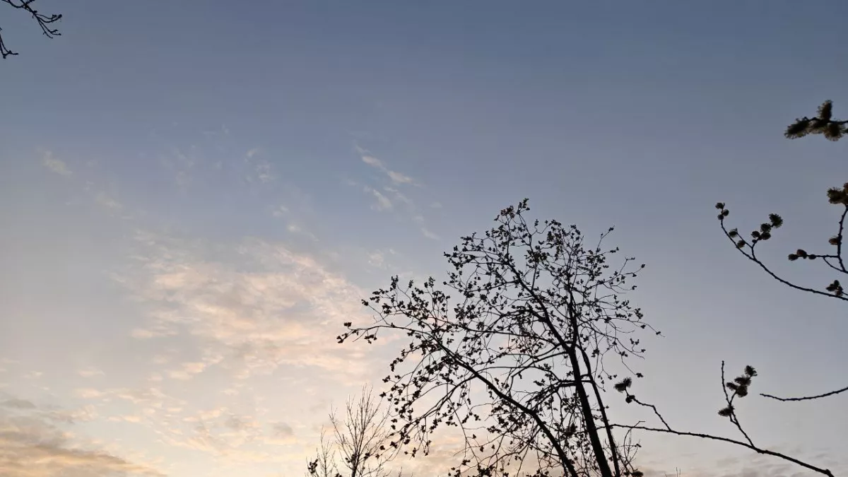 Весна делает рывок: синоптики предсказали неожиданный погодный поворот в Калининградской области во вторник