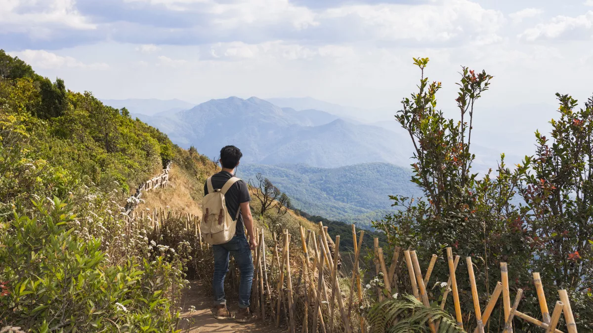 В Абхазии-2026 легко влюбиться в природу, но так же легко испортить отпуск — 7 важных правил для туристов