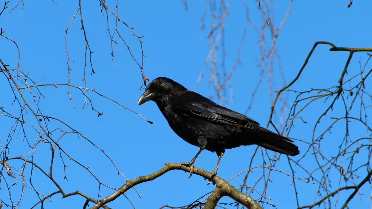 Не спите днём и не стригите ногти: народные приметы и запреты на 10 марта
