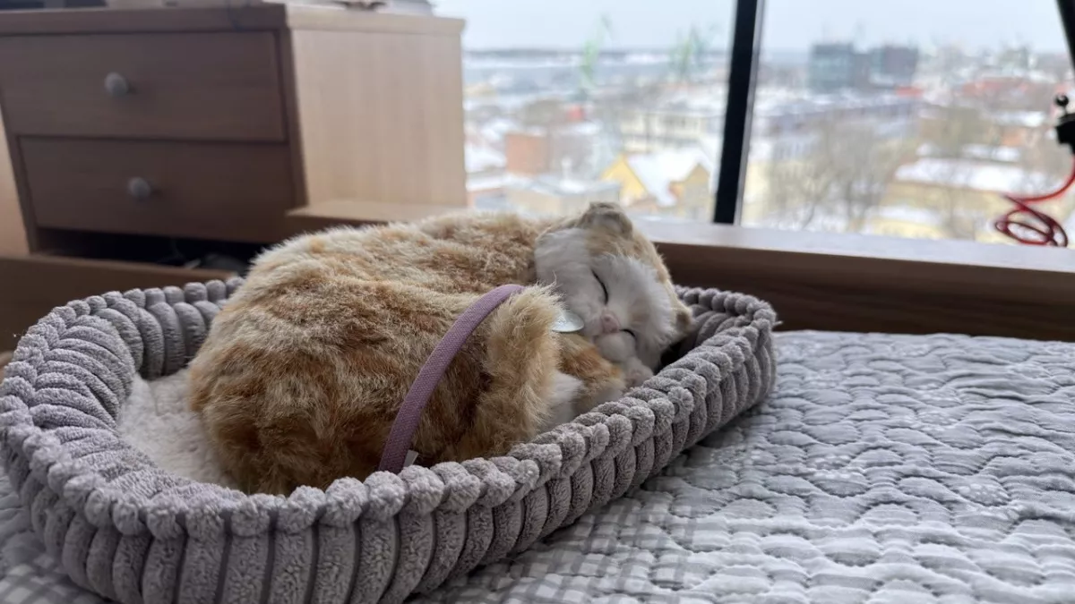 В Калининградской области побиты суточные рекорды температуры: воздух прогрелся до +15°С