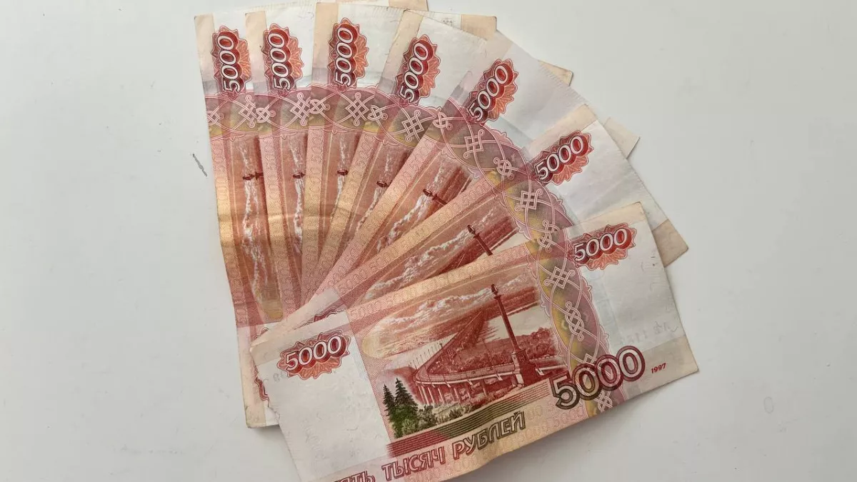 ФАС приструнила калининградский минфин: закупать у «своих» станет сложнее