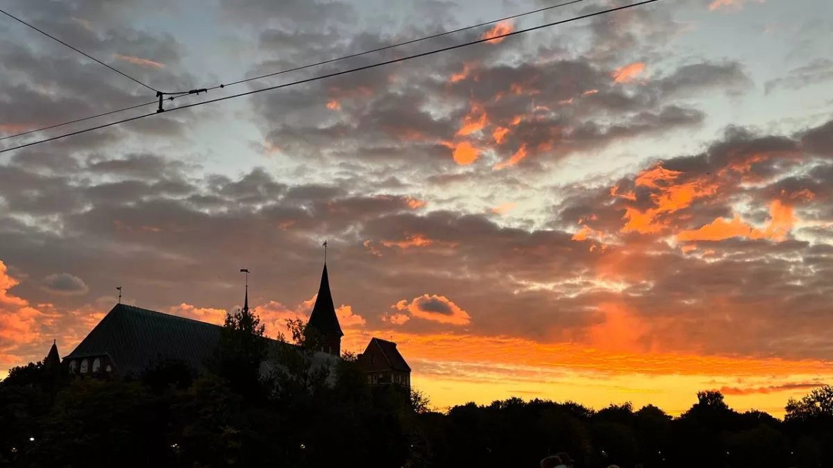 Калининградский бизнес на грани: почти треть предпринимателей думают о закрытии, а каждый второй ждёт ухудшения