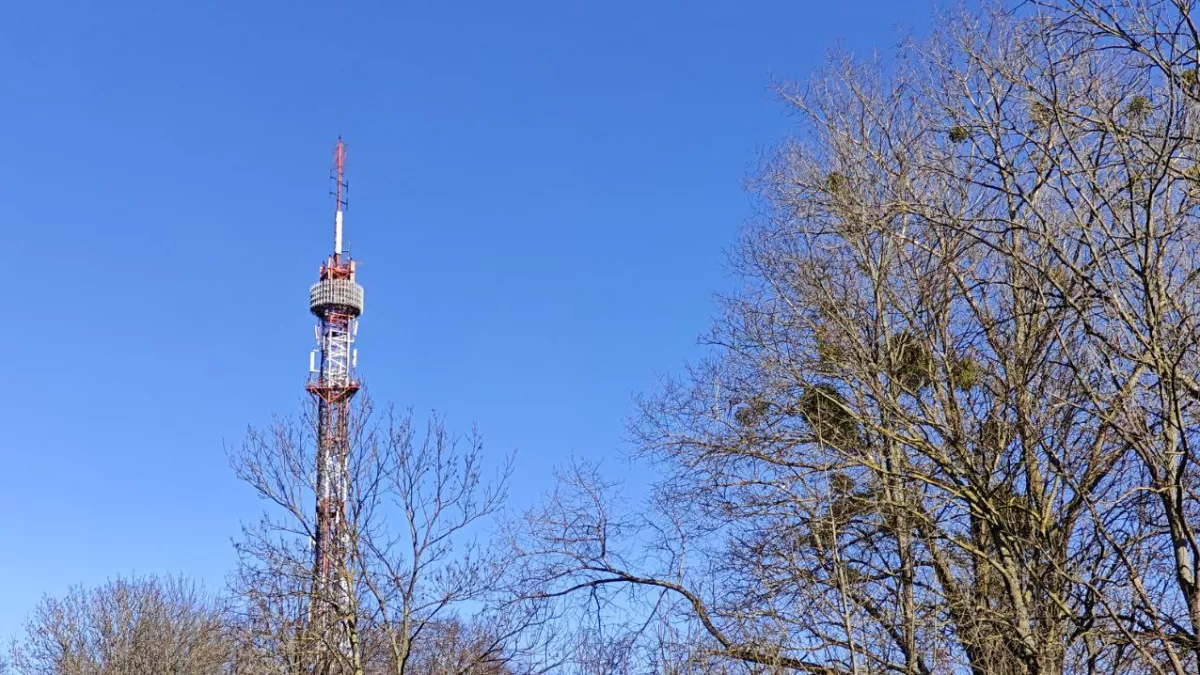 Погода в Калининградской области на среду, 11 марта: почти летние +17°С и контрасты от побережья до востока