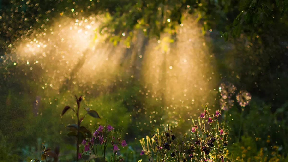 Судьба открывает редкие двери: кого из гороскопа Друидов весна 2026 сделает богачом и везунчиком