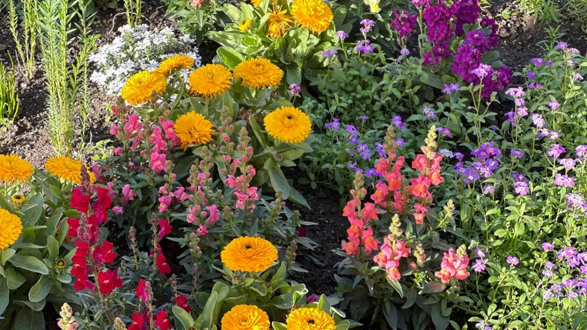 Жара до +35 и температурные качели: каким прогнозируют лето 2026 года в России