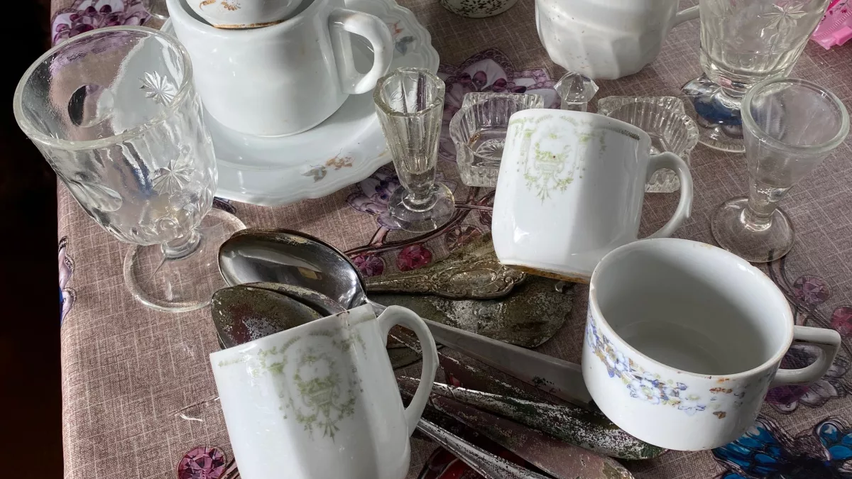 Под Калининградом нашли тайник с посудой бежавших немцев — первая весенняя находка