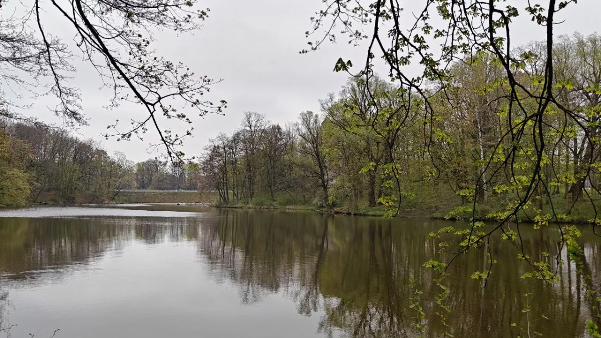 Калининградская область, зонт в руки — и сразу в майку: четверг с дождями, пятница с +18°С