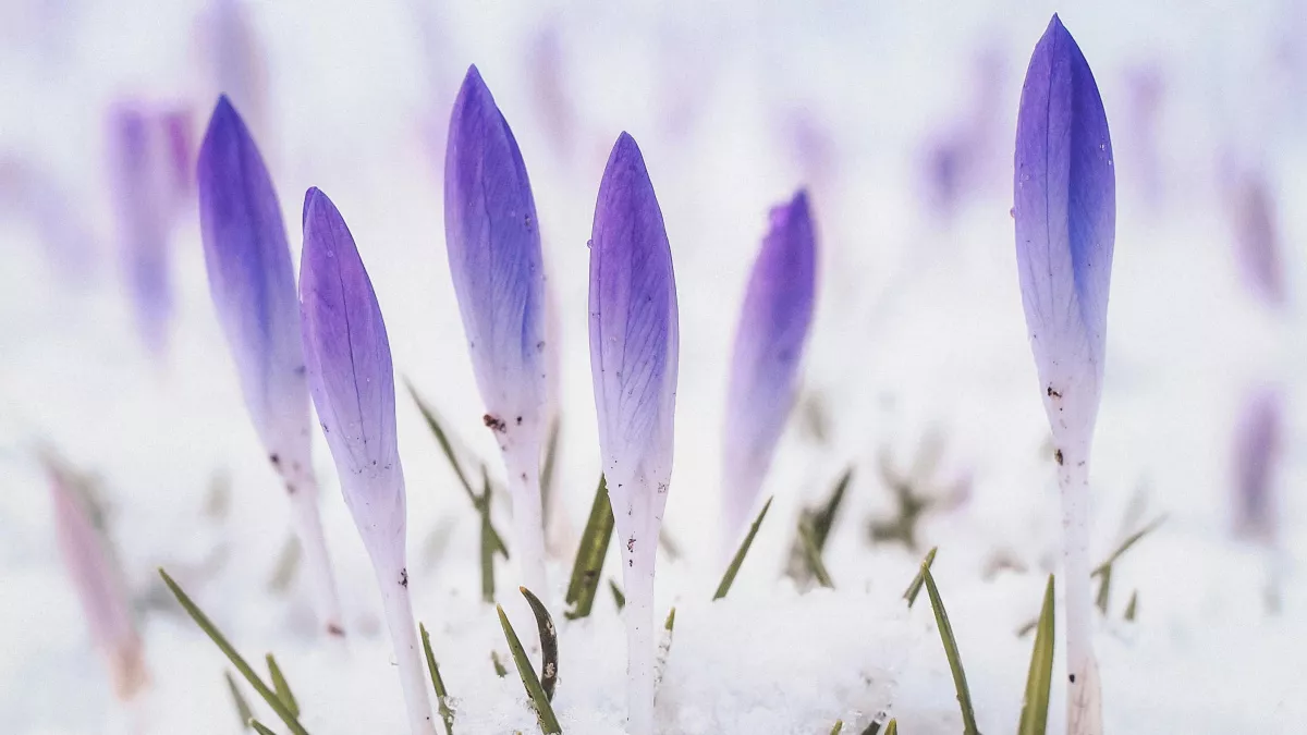Не маши уходящим людям, не режь ножом хлеб: народные приметы и запреты на 12 марта