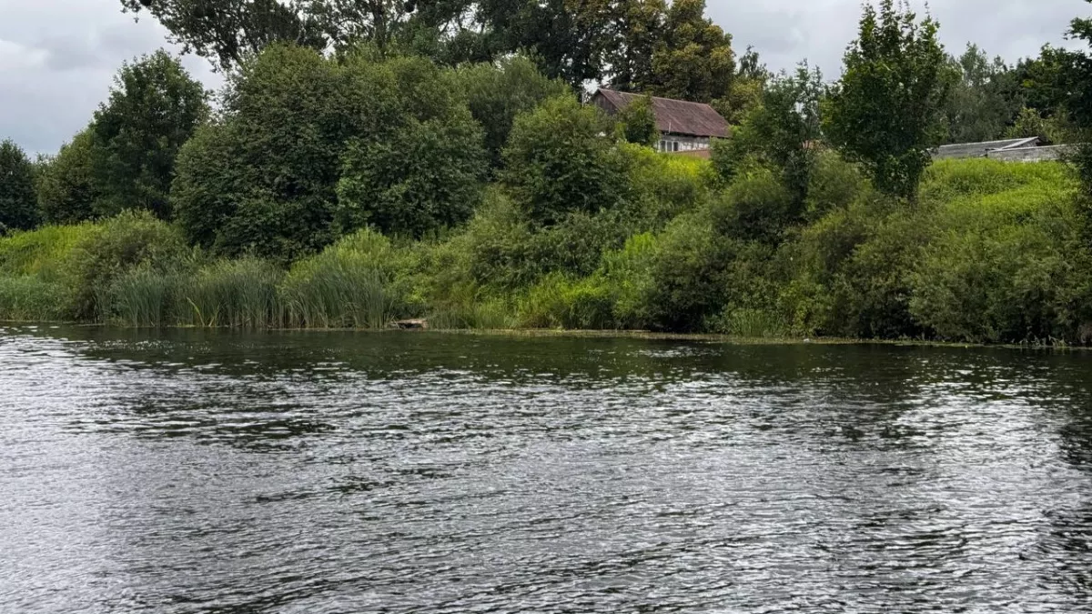 Калининградский «Балтптицепром» заплатит 250 миллионов за отравление реки Граевки — суд поставил точку после четырёх лет разбирательств