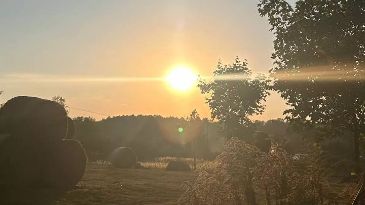 В Калининградской области хотят упразднить несколько посёлков — в некоторых из них уже никто не живёт