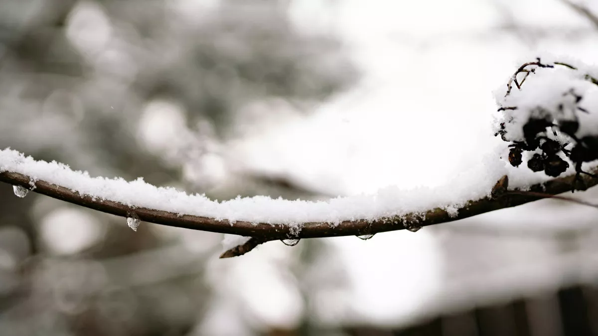 Не трогай нитки, впусти свежий воздух: народные приметы и запреты на 13 марта - Василия Капельника